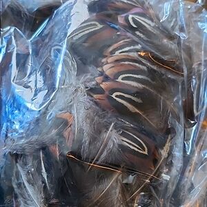 Feathers